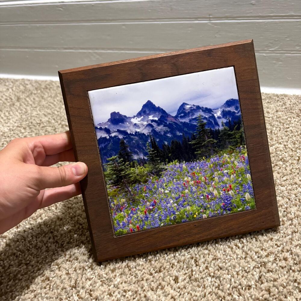 Framed Tatoosh Mountains in Mount Rainier National Park